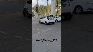 Wolf Tuning .