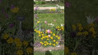 "Two Beautiful Walks in Paris | Jardin des Plantes &amp; Jardin du Ranelagh 🌿🇫🇷"