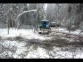 Home-made Grapple skidder in forest, трактор ЛТЗ Т-40АМ