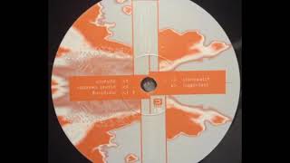 Morph – Stormwatch (1994)