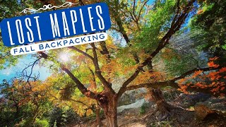 TEXAS Fall Colors | Backpacking Lost Maples State Natural Area