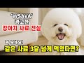 "강아지가 같은 사료를 3달 넘게 먹였다면? 꼭 보세요! (강아지 알러지, 이렇게 생깁니다)" 【WSAVA도 경고한 강아지 사료 진실 (3~6개월마다 바꿔야 하는 이유)】