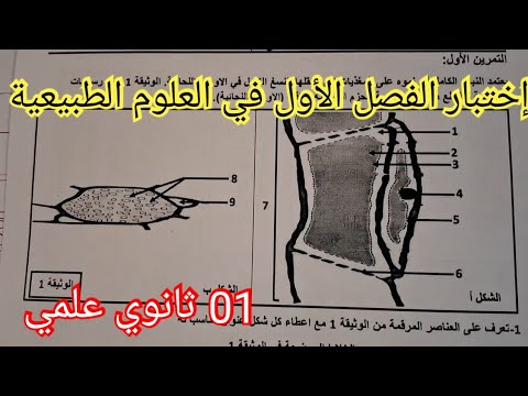 إختبار الفصل الأول في العلوم الطبيعية السنة الأولى ثانوي علمي