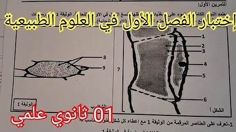 إختبار الفصل الأول في العلوم الطبيعية السنة الأولى ثانوي علمي