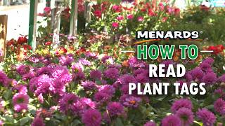 How To Read Plant Tags (Beginner Gardening Guide) | Menards