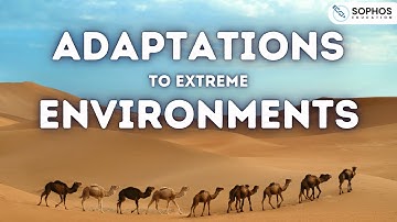 Adaptations to Extreme Environments