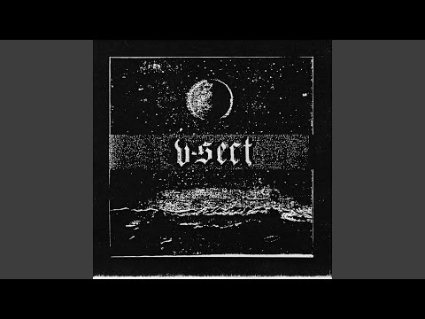 V-Sect — The Whip