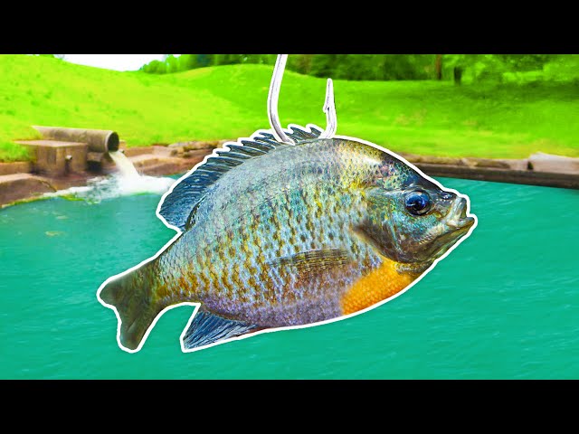 新品未開封Let’s try Bass Fishing FISH ON NEXT s-l1200.jpg