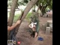 خلاص كفاية نوم استيقظوا يامتابعين دغدغني
