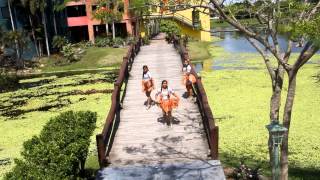 Aguita de Coco - Las estrellitas