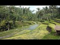 Voyage à Bali, Indonesie,  en sac à dos : Seminyak, Kuta, Ubud, Sidemen, Jimbaran ( Septembre 2016)