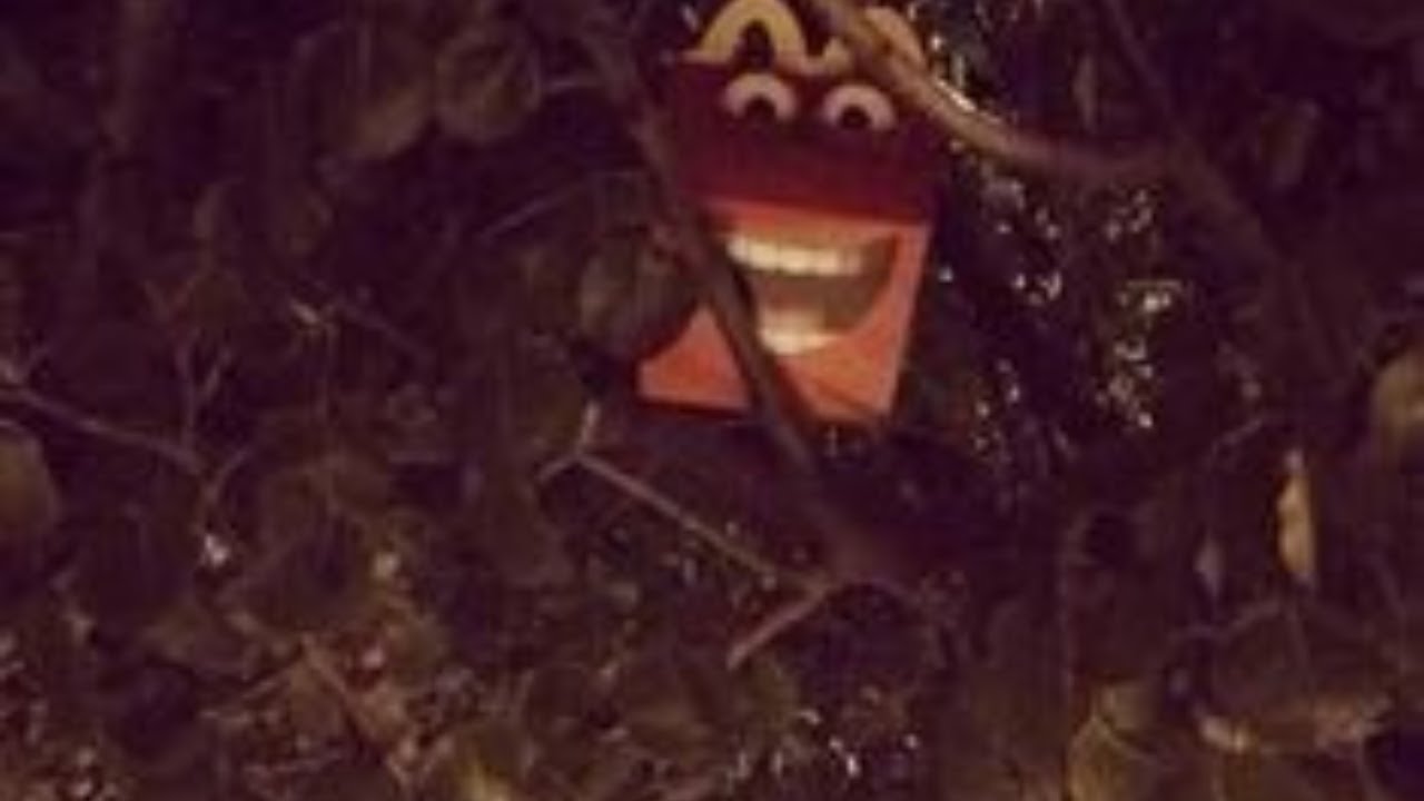 Random memes I permanently borrowed PT.293