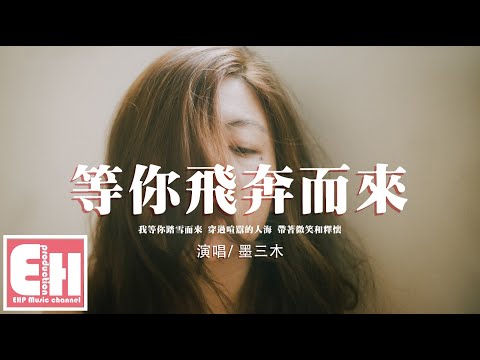 《小田音樂社》墨三木 - 等你飛奔而來『我等你踏雪而來 穿過喧囂的人海，讓我擁你入懷。』【動態歌詞/Vietsub/Pinyin Lyrics】