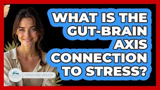 What Is The Gut-brain Axis Connection To Stress? - Stress Free Mindset