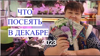 НЕ УПУСТИТЕ ВРЕМЯ! Что ПОСЕЯТЬ В ДЕКАБРЕ 2023, а что СЕЯТЬ еще РАНО