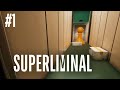 Perspective - Superliminal #1