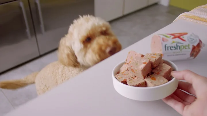 Healthy Meals Happy Dogs | Freshpet UK Commercial :30 - DayDayNews