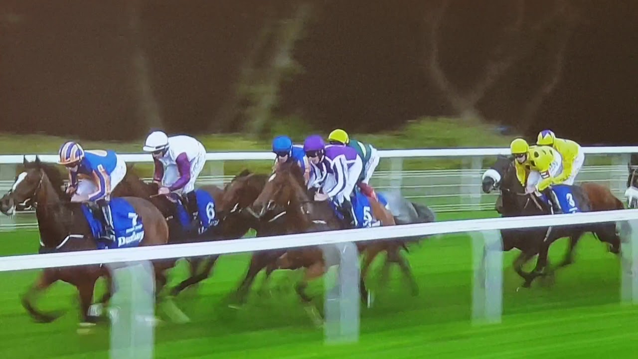 York 2018 Group 1-Sea of Class