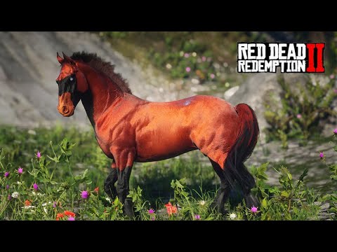 O DOMADOR DE CAVALOS - Em busca do CAVALO DA NEVE, o melhor cavalo do jogo  - Red Dead Redemption 2 