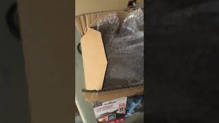 IMG 1812 2