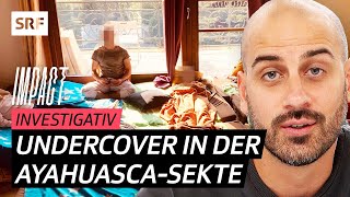 Ayahuasca, Bufo, San Pedro - Wie ein Sekten-Guru seine Mitglieder mit Drogen abzockt | Impact | SRF