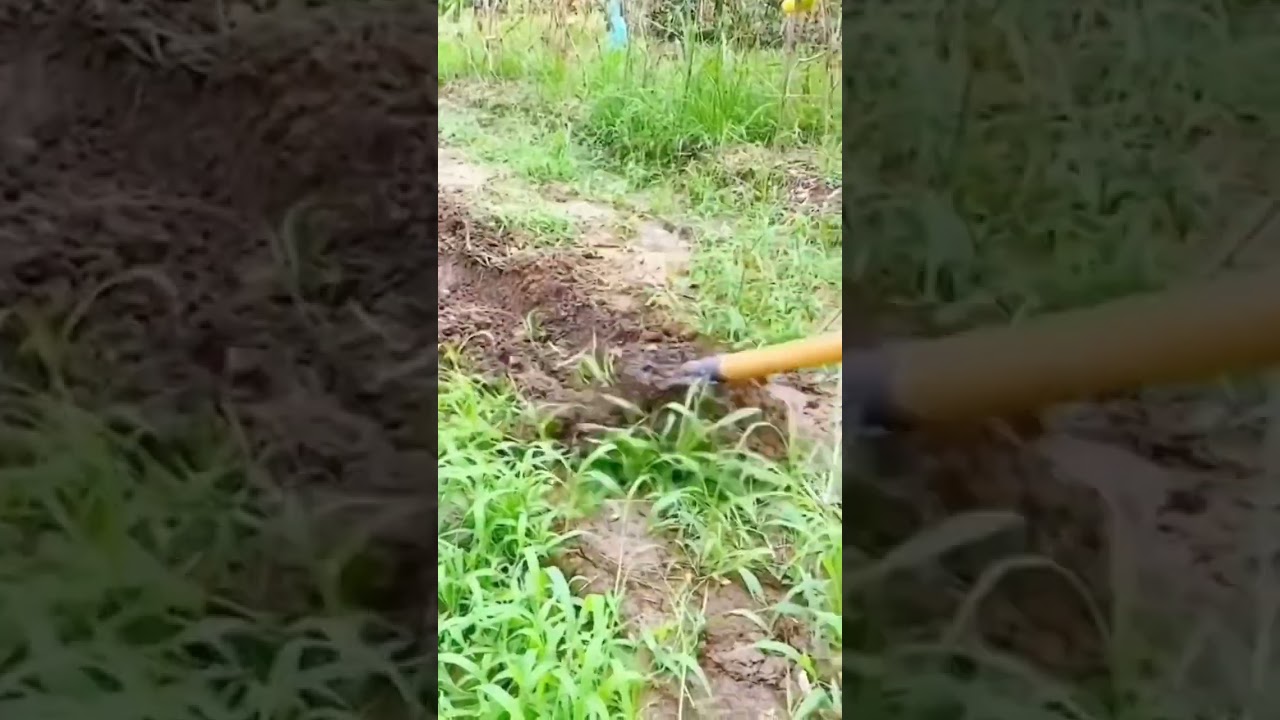 Triangular Pointed Tip Hoe 