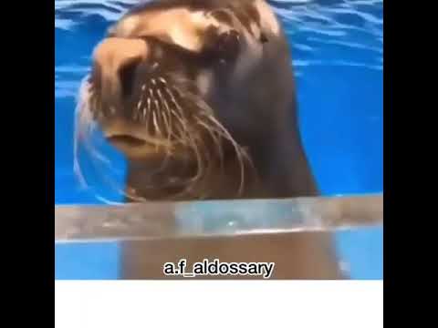 مساء الابتسامة