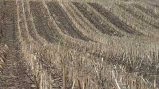 Ag PhD Show #529 - Managing Nirtogen