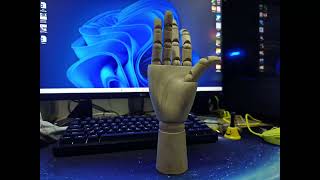 Stop Motion Hand Animation ( Test 1 )