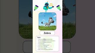Zebra Fun Facts for Curious Learners! | Animal Learning Card #shorts