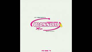 [10 SAMPLES] TY - BLOSSOM SAMPLE PACK