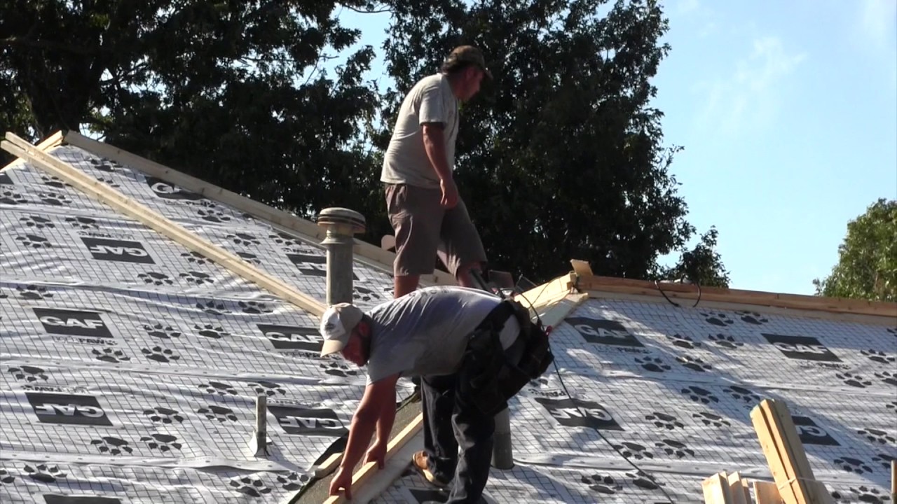 Nichtect Roof Action