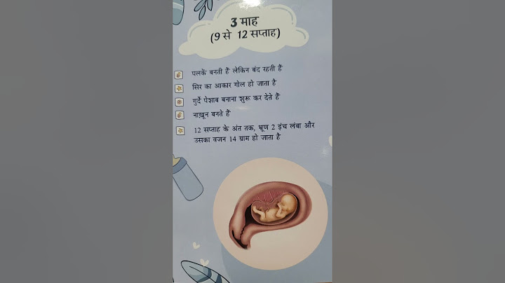 3rd month of pregnancy