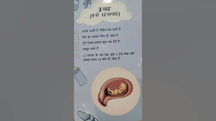 3rd month of pregnancy