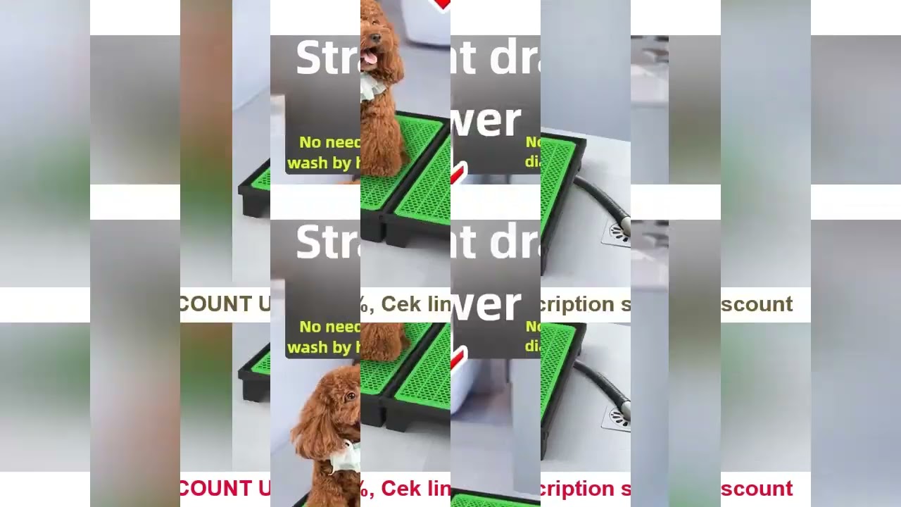 Flush Dog Toilet Direct Drainage System Dog Toilet Training Walls Pet Potty Indoor with Drain Pets U