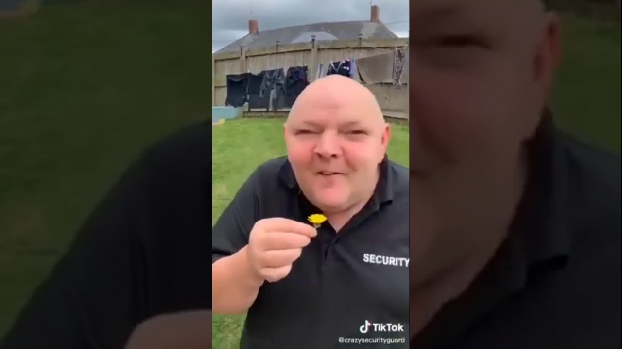 The last dandelion meme