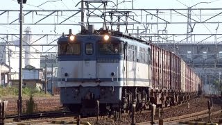 JR貨物 EF65-2095 貨物列車(遅れ5087レ JR貨物更新色 青プレ)清洲駅貨物線