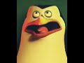 Not today. {Penguins of Madagascar} 🐧🐧🐧🐧[Meia noite]#aura#edit#penguinsofmadagascaredit
