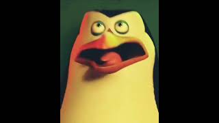 Not today. {Penguins of Madagascar} 🐧🐧🐧🐧[Meia noite]#aura#edit#penguinsofmadagascaredit