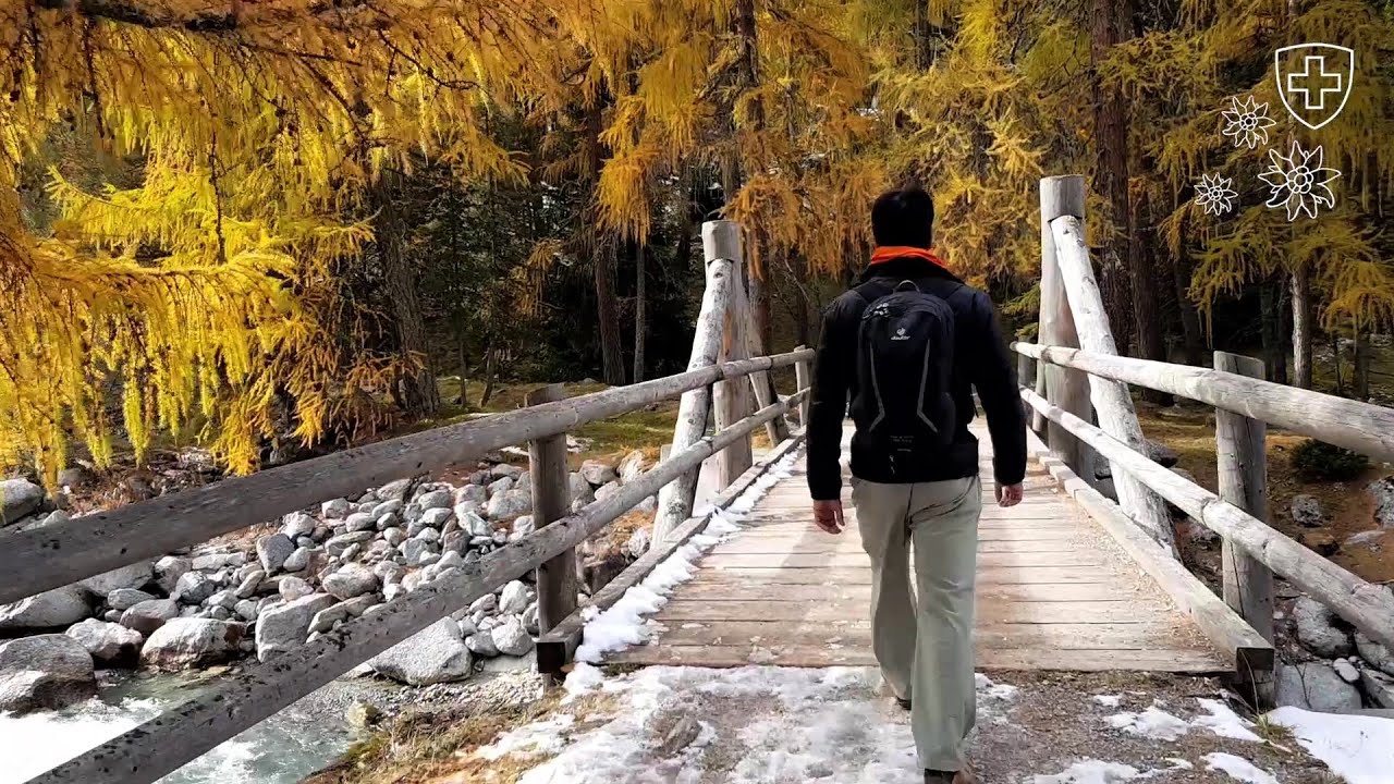 Hike from S-charl to Tarasp (2020/10/20)