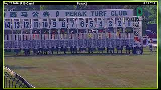 23RD AUGUST 2026 RACE 10
