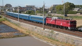 【黒磯訓練】 試9502ﾚ EF81-80+24系 新白岡～白岡通過