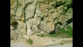 Harold and Maude: war protest scene location