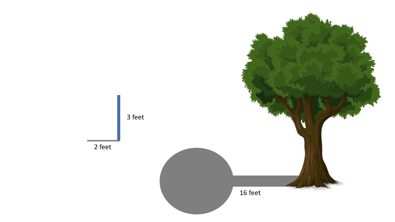Signified Signifier Tree