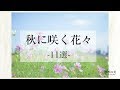 秋に咲く花々11選｜季節の花