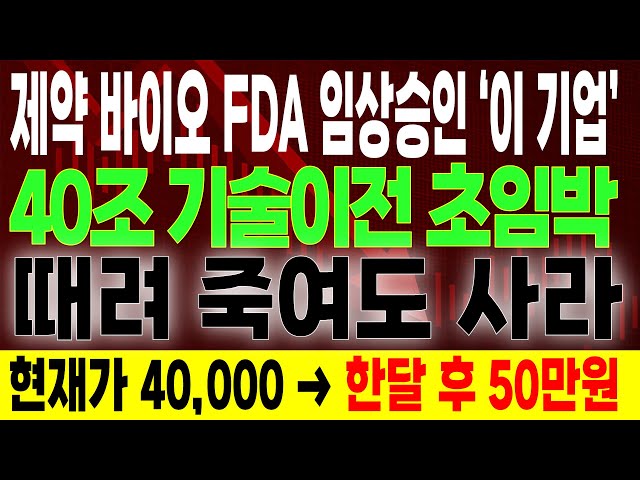 [주식추천] FDA 임상승인 이제 모두 끝났다💥 40조 기술이전 초임박 10배 오를 제약바이오 딱 '세 종목' 알테오젠 보다 더올라요 제약바이오대장주 바이오관련주 주 주가전망