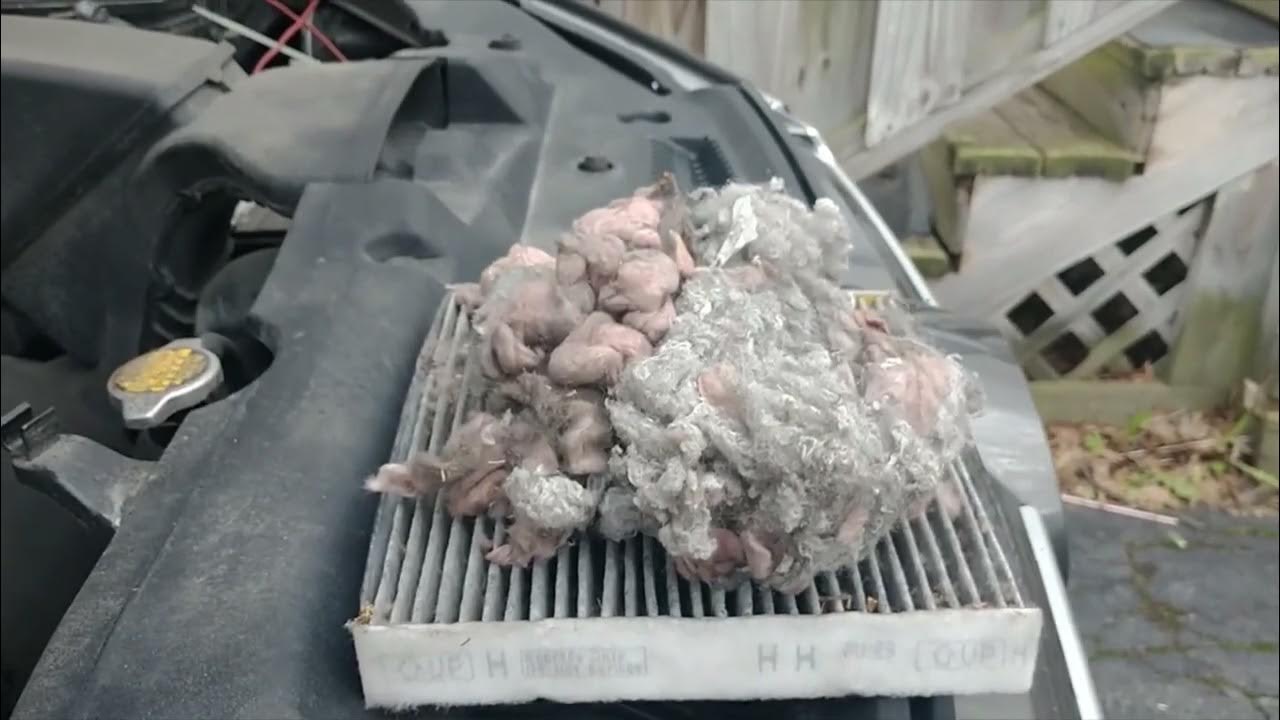 2017 Toyota Highlander Cabin Air Filter Replacement - YouTube