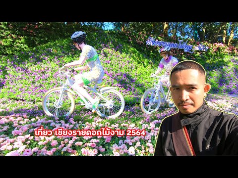 เที่ยว งานเชียงรายดอกไม้งาม 2564 ณ สวนตุงและโคมเชียงราย