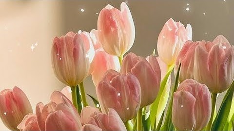 Live name writing with beautiful fonts 🌷