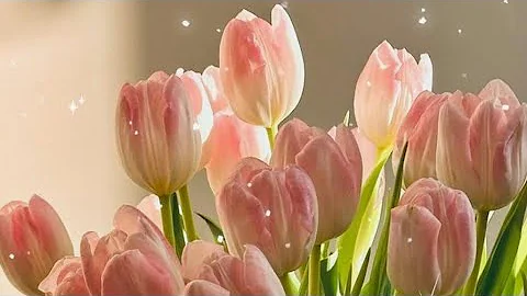 Live name writing with beautiful fonts 🌷